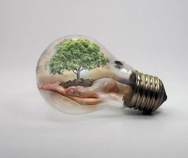 Les Enjeux Majeurs du Droit de l'Environnement