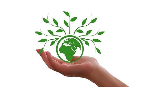 Les Fondements Indispensables du Droit de l'Environnement