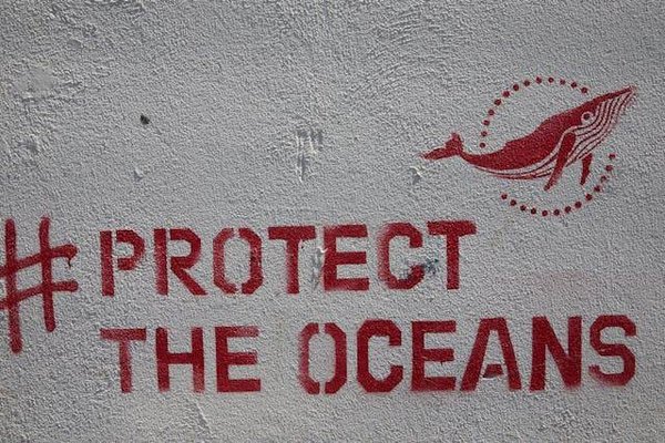 Protégez la nature: le droit de l'environnement expliqué